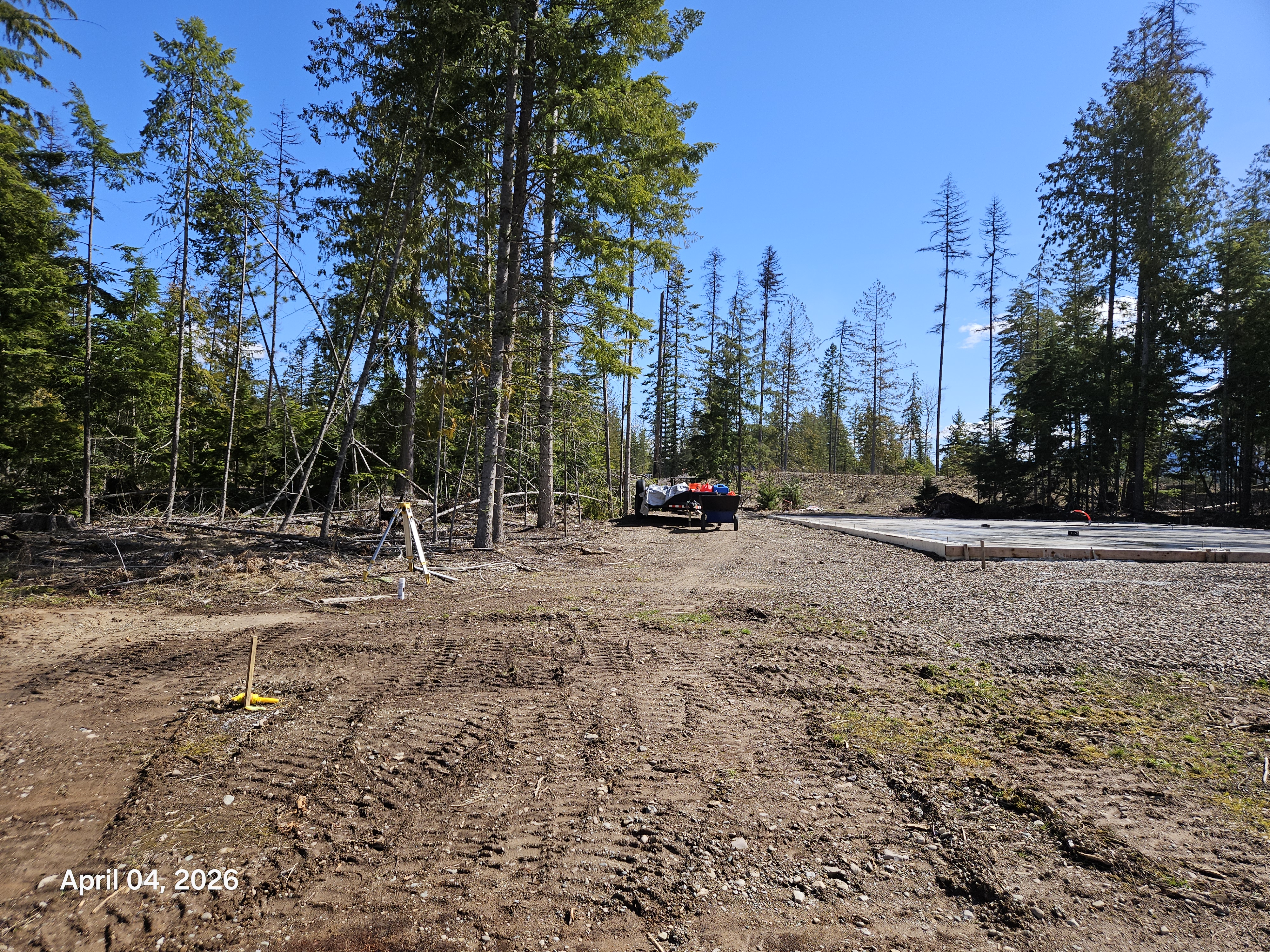Before — trees to the left of concrete slab