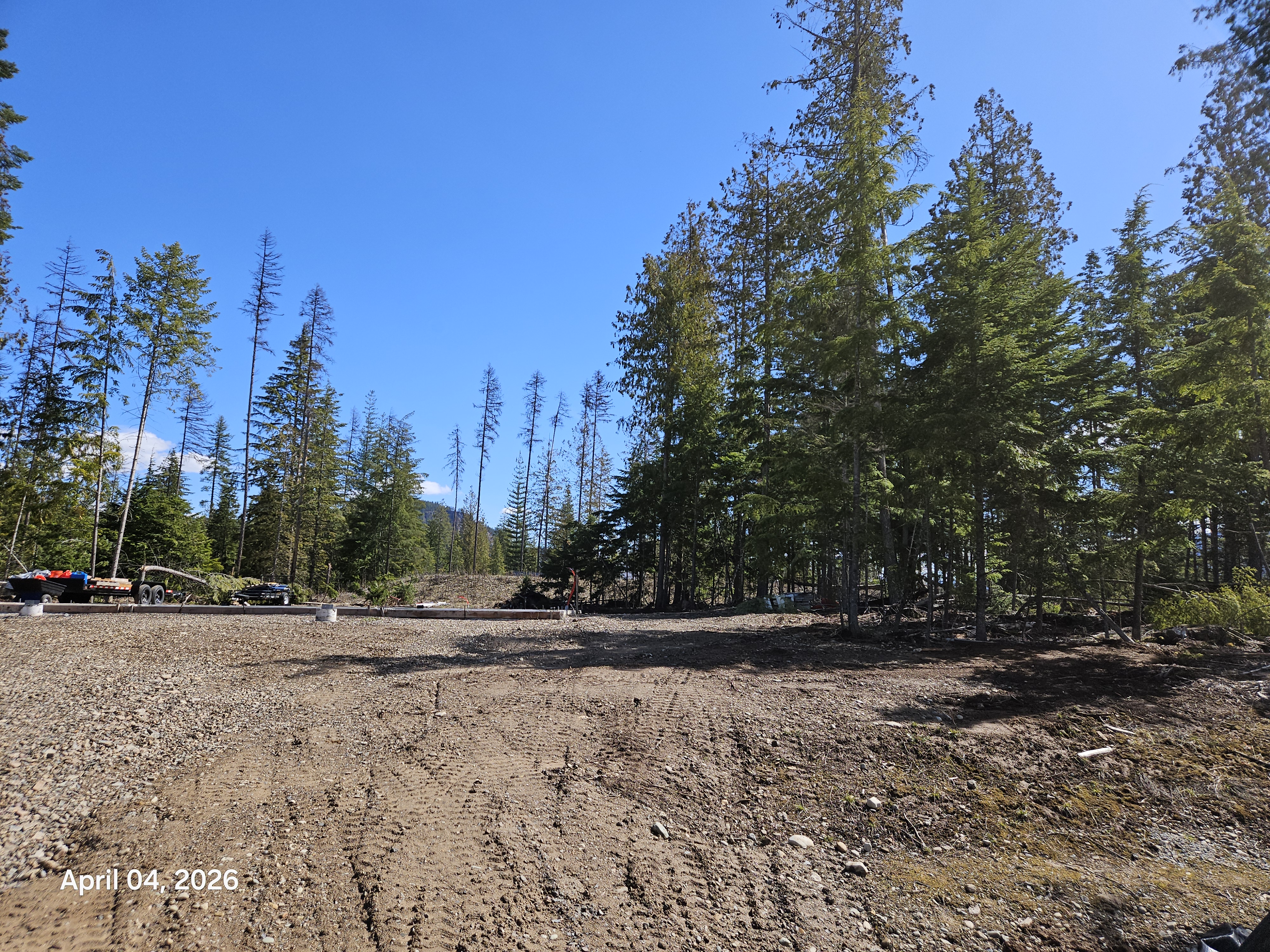 Before — trees to the right of cleared pad